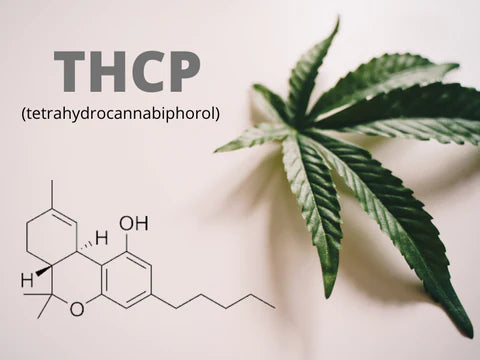 What is THCP?